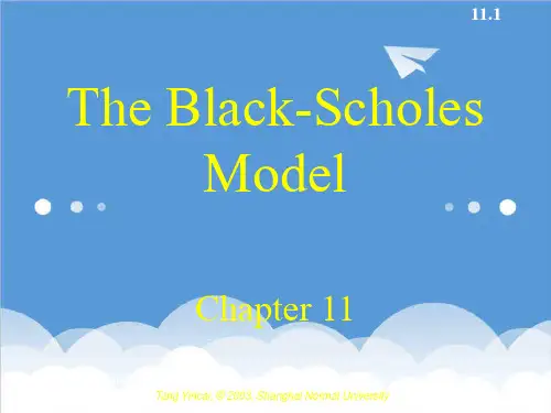 金融保险-BlackScholesModel金融工程华东师范大学汤银才 精品