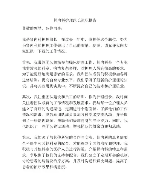 肾内科护理组长述职报告