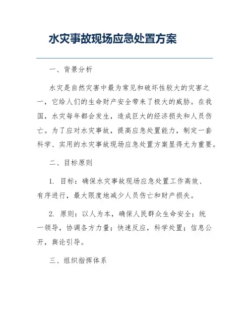 水灾事故现场应急处置方案