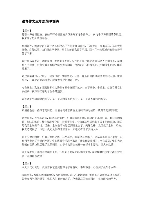 踏青作文三年级简单漂亮