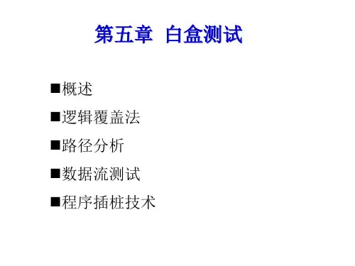软件测试实用教程第五章  白盒测试