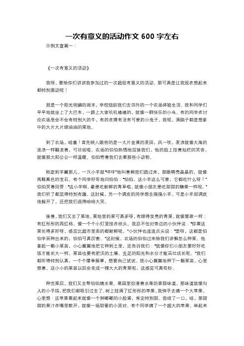 一次有意义的活动作文600字左右