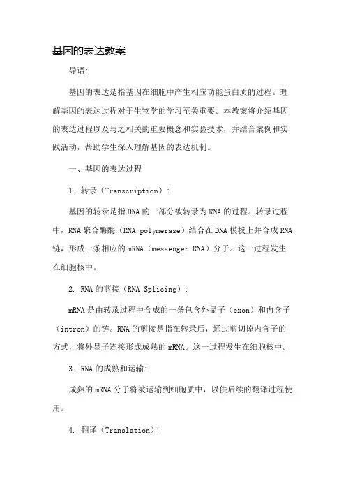 基因的表达教案市公开课一等奖教案省赛课金奖教案