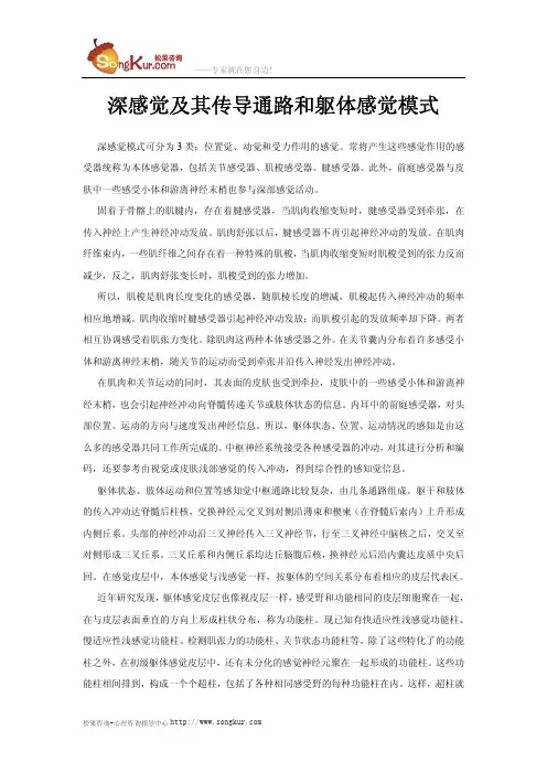 深感觉及其传导通路和躯体感觉模式