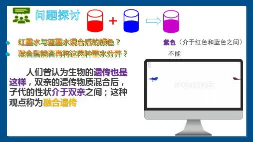 生物必修二 豌豆杂交实验一 (2019新教材)
