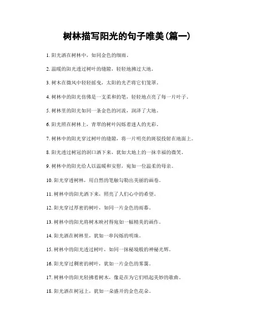 树林描写阳光的句子唯美(精选两篇)