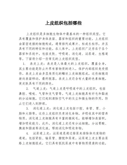 上皮组织包括哪些