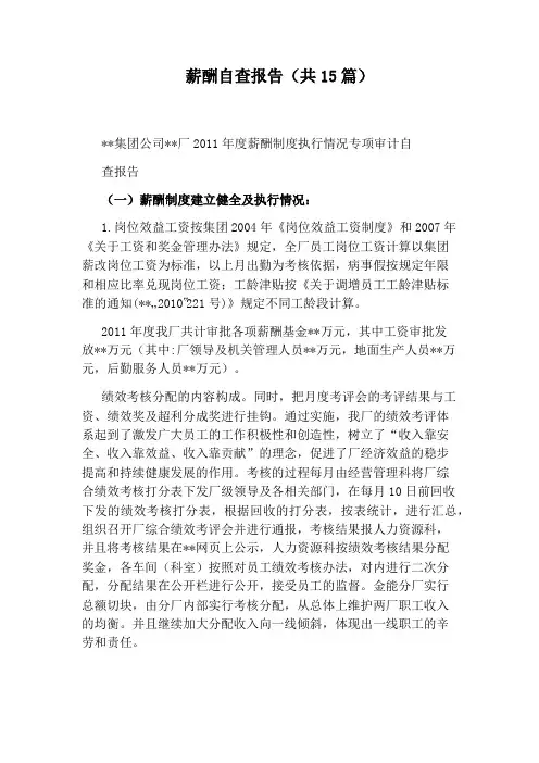薪酬自查报告(共15篇)