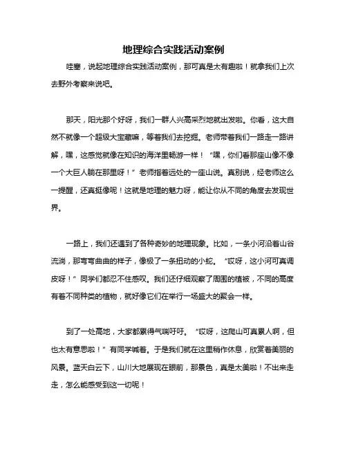 地理综合实践活动案例