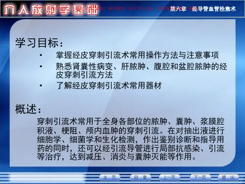 经皮穿刺引流术课件