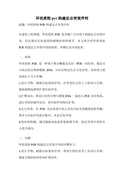 环状质粒 pcr 构建定点突变序列