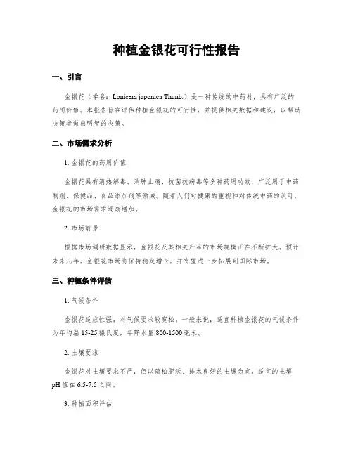 种植金银花可行性报告