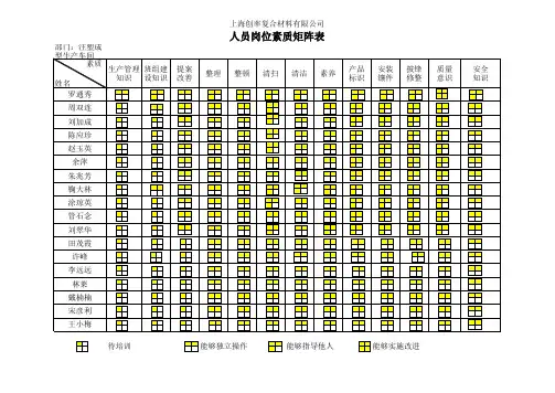 人员素质矩阵表00