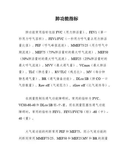 肺功能指标
