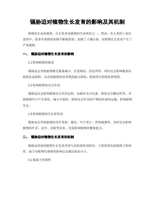 镉胁迫对植物生长发育的影响及其机制