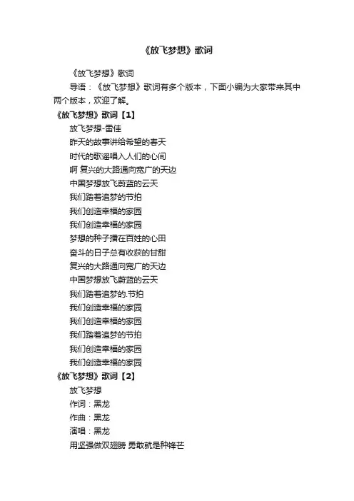 《放飞梦想》歌词