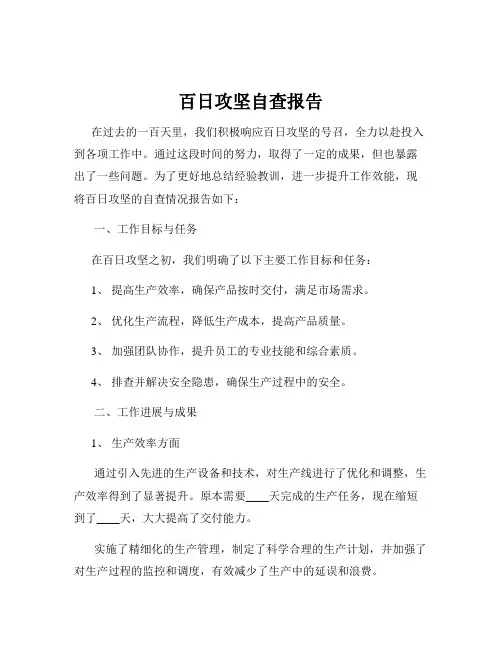 百日攻坚自查报告