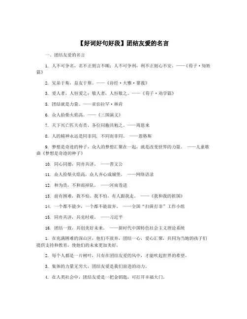【好词好句好段】团结友爱的名言