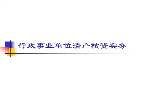事业单位清产核资