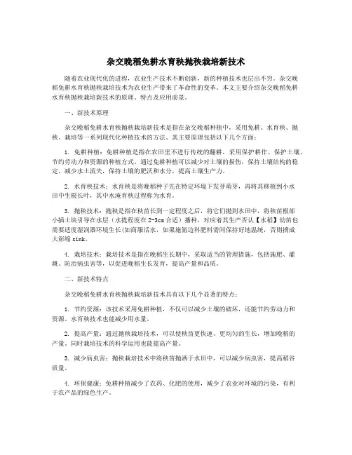 杂交晚稻免耕水育秧抛秧栽培新技术
