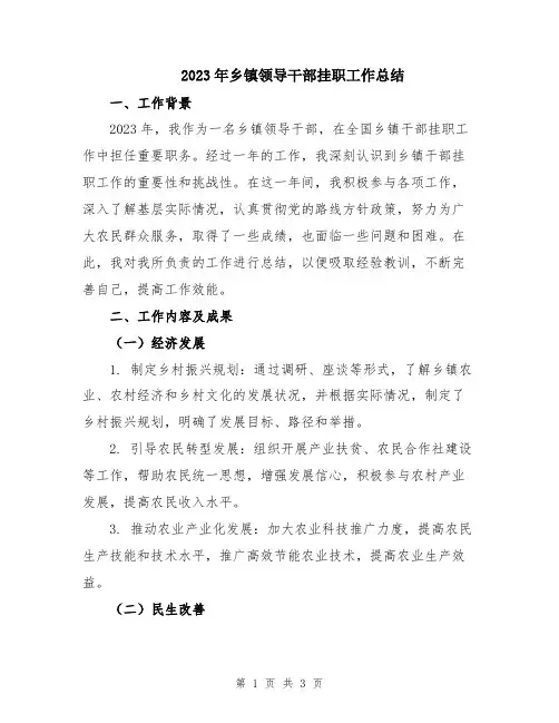 2023年乡镇领导干部挂职工作总结