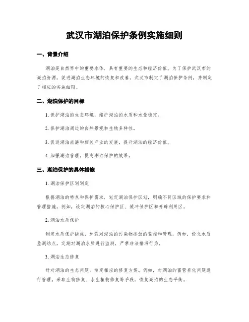 武汉市湖泊保护条例实施细则