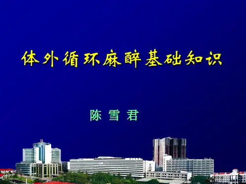 体外循环