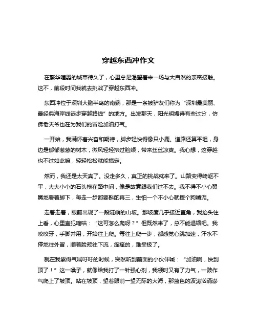 穿越东西冲作文