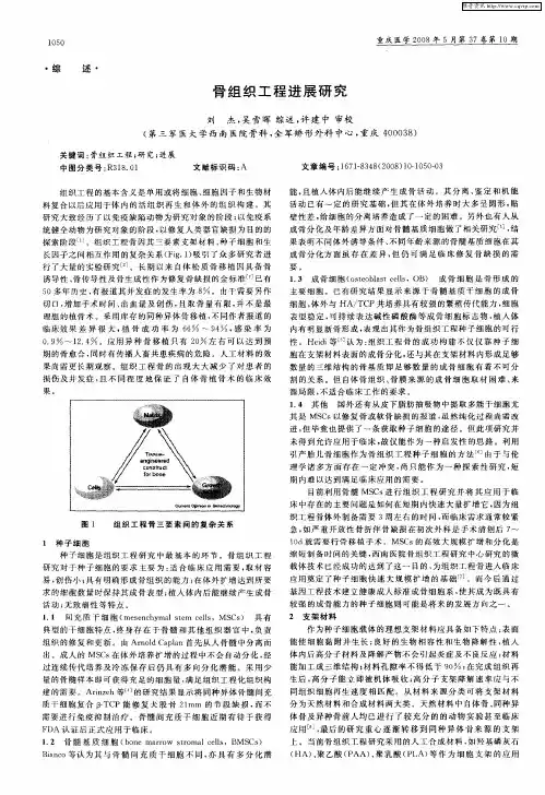 骨组织工程进展研究