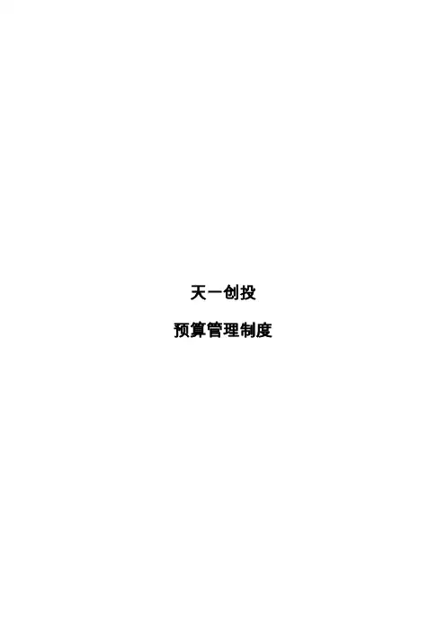 华彩咨询天一创投预算管理制度