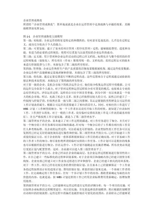 企业管理成熟度[全稿]