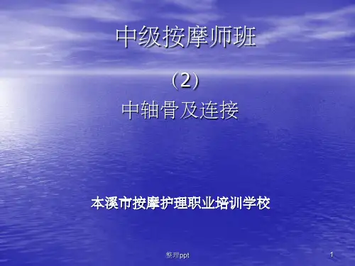 中级班中轴骨及连接