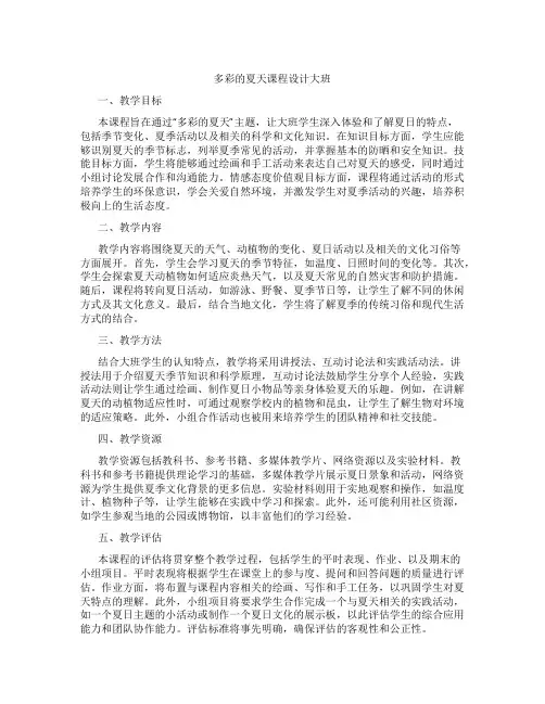 多彩的夏天课程设计大班