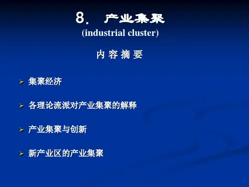 《产业集聚专题》PPT课件