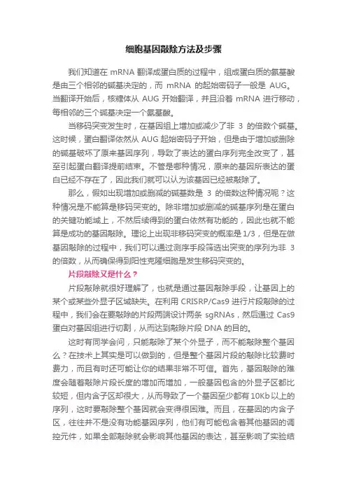 细胞基因敲除方法及步骤