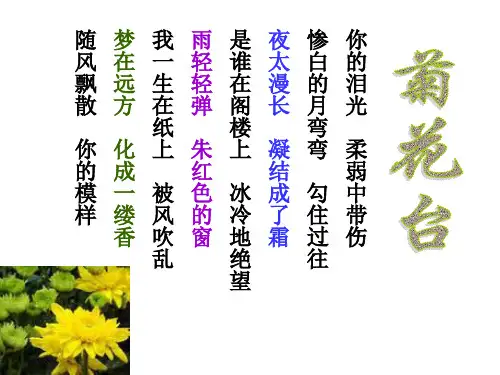 人音版八年级下册音乐课件  随心唱响 菊花台   (共17张PPT)
