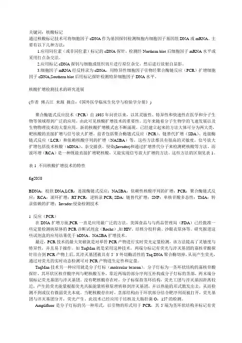 聚合酶链式反应技术(PCR)
