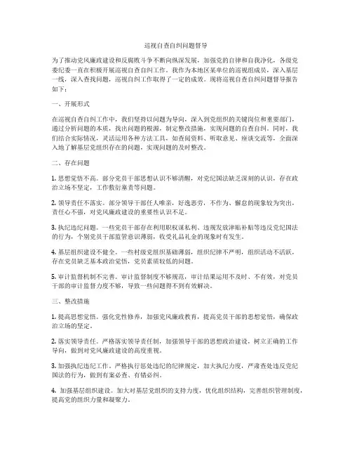 巡视自查自纠问题督导