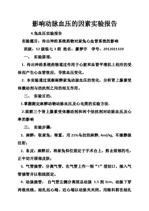影响动脉血压的因素实验报告