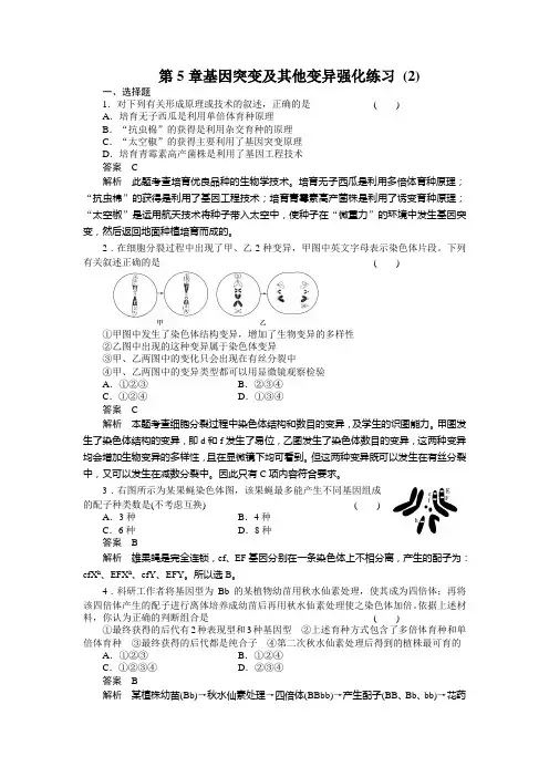 第5章基因突变及其他变异强化练习_2(人教版必修2)