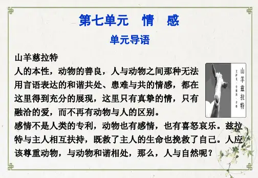 人教版 语文 选修外国小说欣赏情感2