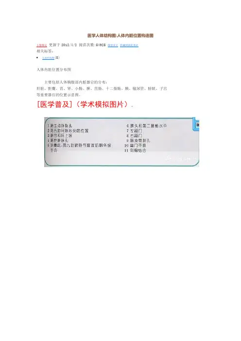 医学人体结构图