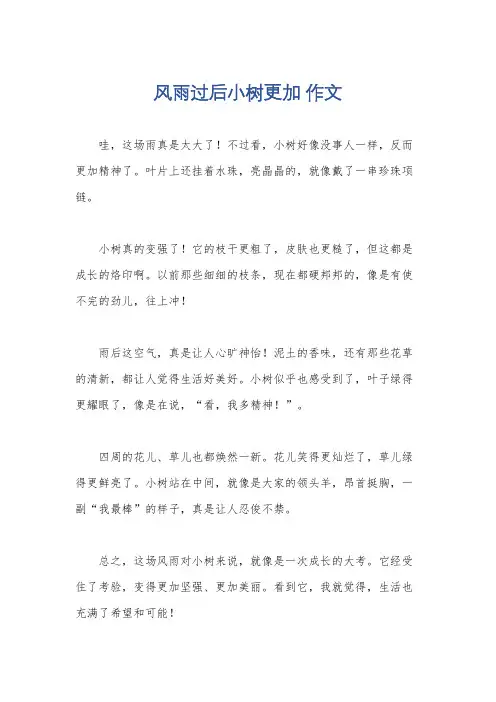 风雨过后小树更加 作文