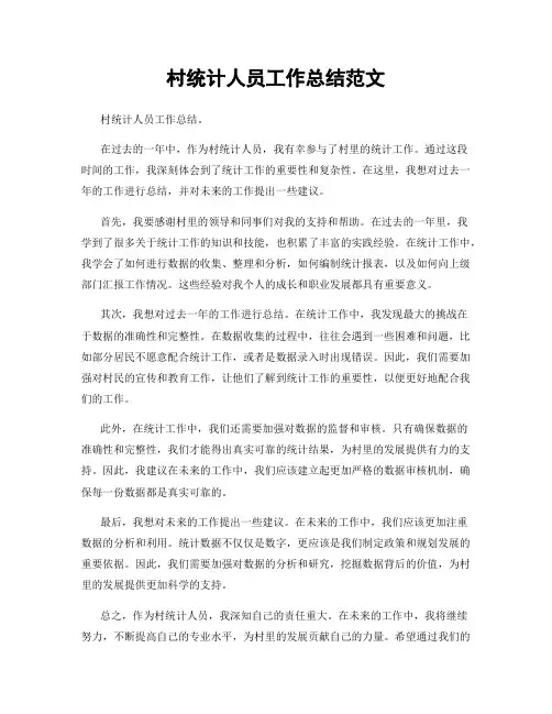 村统计人员工作总结范文