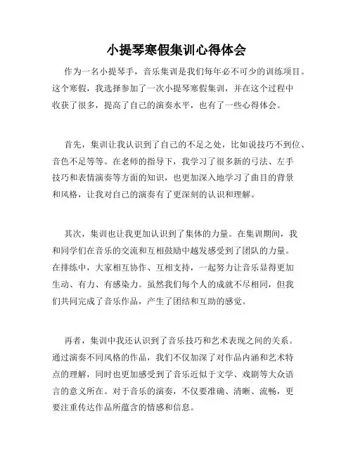 小提琴寒假集训心得体会