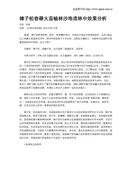 樟子松容器大苗榆林沙地造林中效果分析