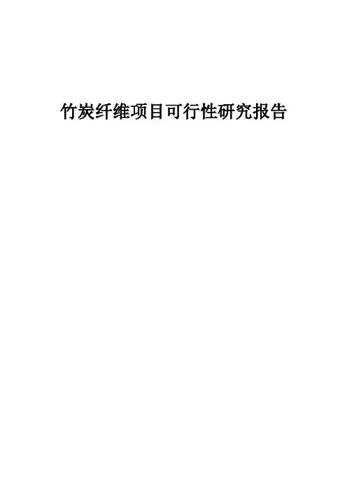 竹炭纤维项目可行性研究报告