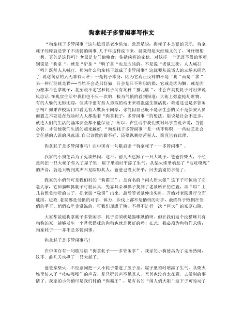 狗拿耗子多管闲事写作文