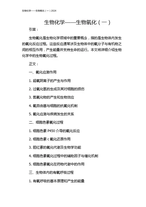 生物化学——生物氧化(一)2024