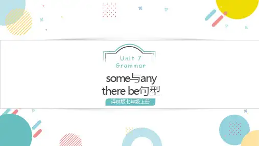 Unit 7 重要语法 (some与any there be句型) 七年级上册英语(牛津译林版)
